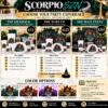 Scorpio SZN Birthday Collection Flyer
